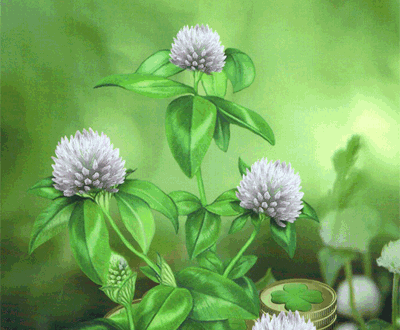 clover lenormand