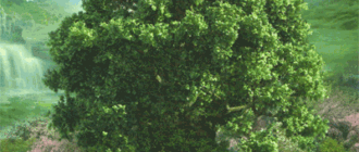 tree lenormand foto