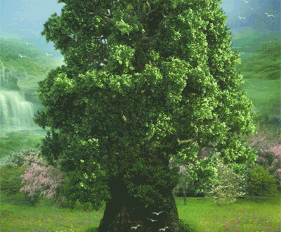 tree lenormand foto