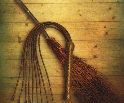 lenormand whip foto