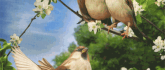 Birds lenormand foto