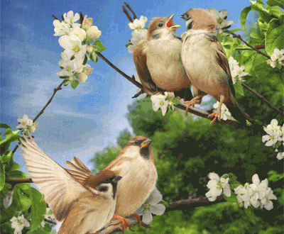 Birds lenormand foto