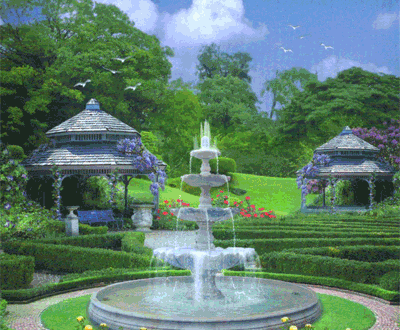 19 garden lenormand foto