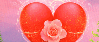 heart lenormand photo