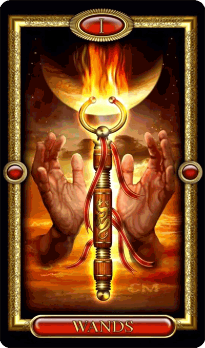 Ace of wands tarot card foto